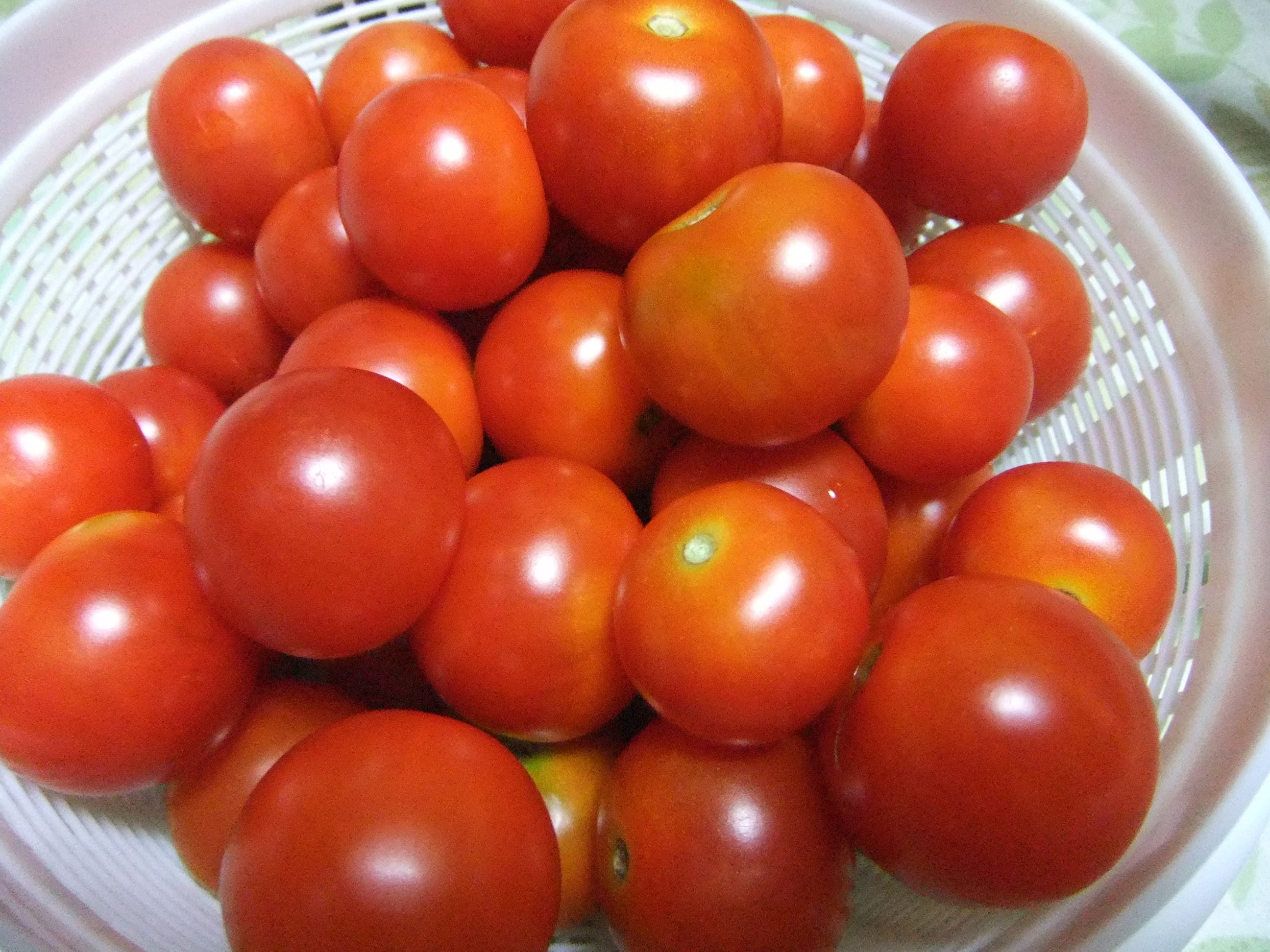 トマトソース と 夏野菜のピザトースト 地域密着 小島プロパンのブログ